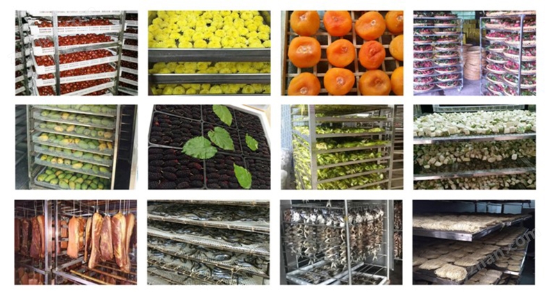 成功避险通报表扬！